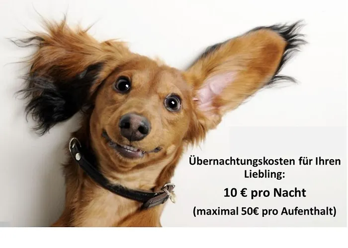 Sunny Side Lägenhet *